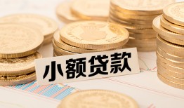 北京22哪里有小额贷款-北京22身份证贷款平台-北京22民间短借